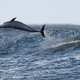 Image Credit: Getty Images/Matt Roberts